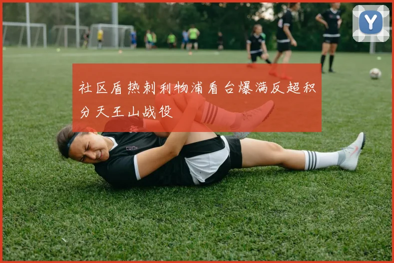社区盾热刺利物浦看台爆满反超积分天王山战役