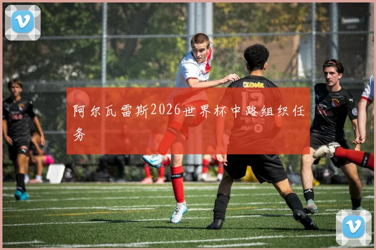 阿尔瓦雷斯2026世界杯中路组织任务