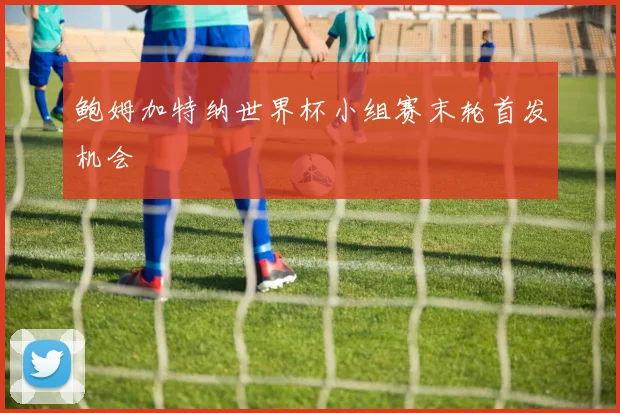 鲍姆加特纳世界杯小组赛末轮首发机会