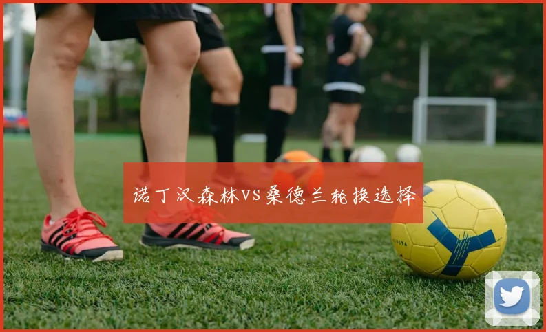 诺丁汉森林vs桑德兰轮换选择