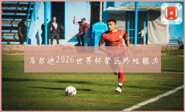 马尔迪2026世界杯禁区终结能力