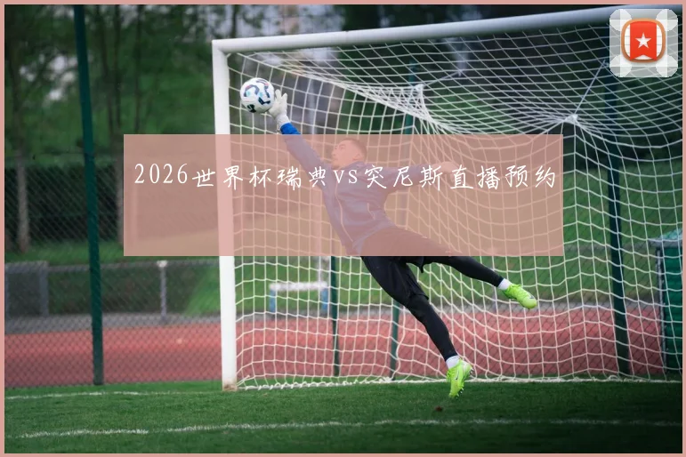 2026世界杯瑞典vs突尼斯直播预约
