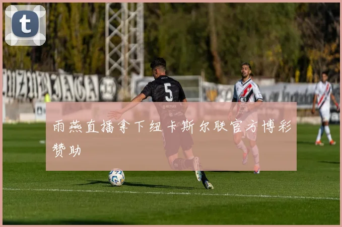 雨燕直播拿下纽卡斯尔联官方博彩赞助
