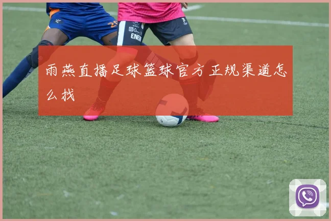 雨燕直播足球篮球官方正规渠道怎么找